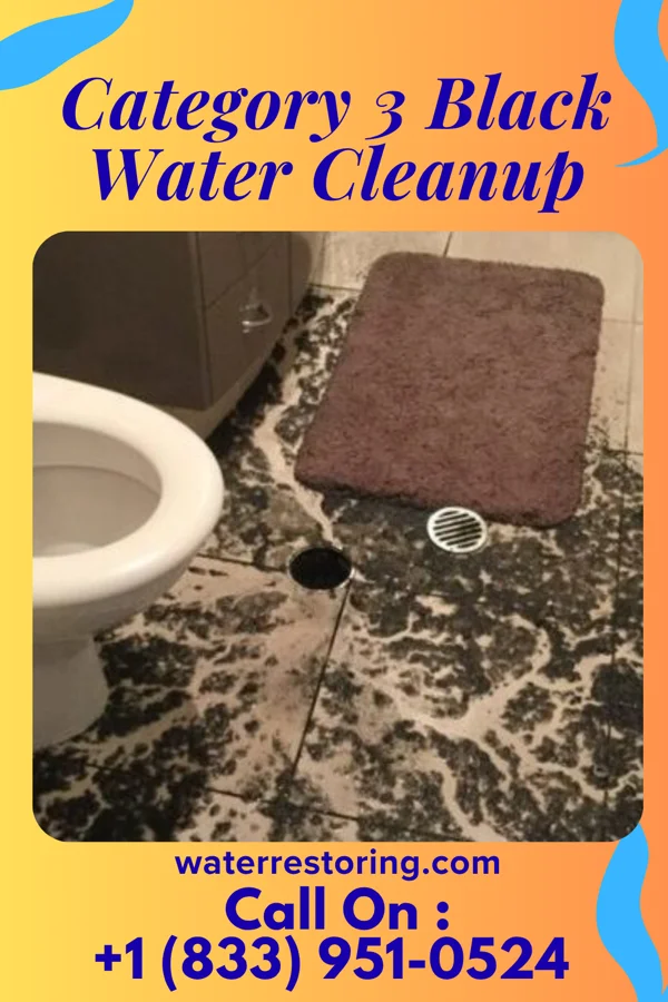 Category 3 Black Water Cleanup in Lynn, IN