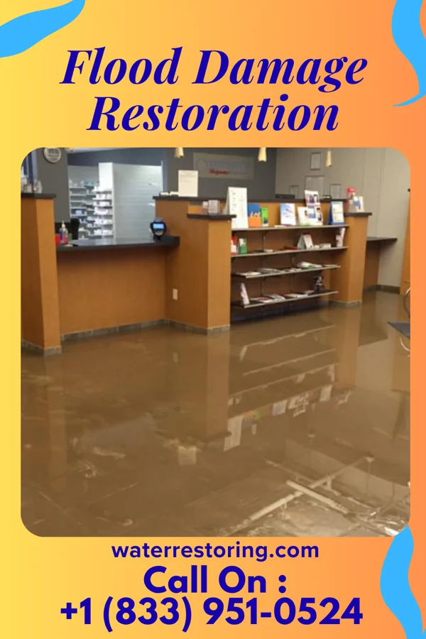 Flood Damage Restoration in Lynn, IN