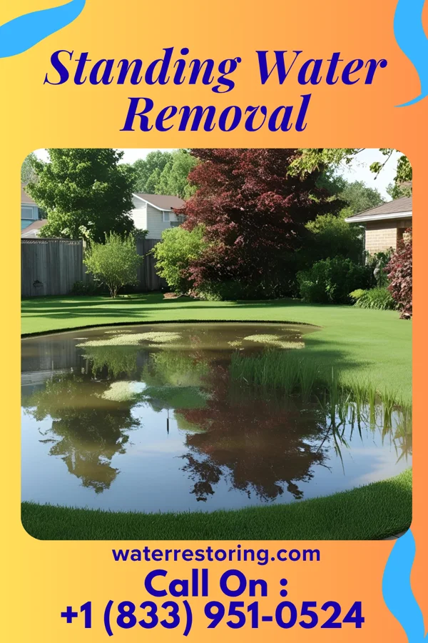 Standing Water Removal in Lynn, IN